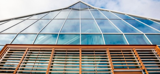 Thumbnail van IKC De Sprong Leeuwarden