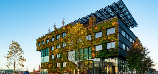 Afbeelding bij project Aeres hogeschool, Almere