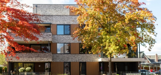 Thumbnail van 30 appartementen Barneveld