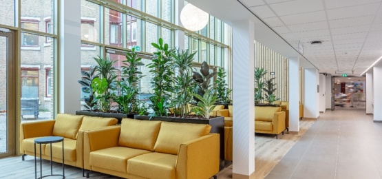 Thumbnail van Ziekenhuis st Jansdal Harderwijk