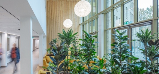 Thumbnail van Ziekenhuis st Jansdal Harderwijk