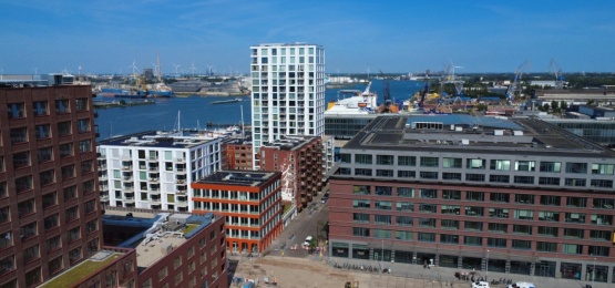 Thumbnail van Noordbaak