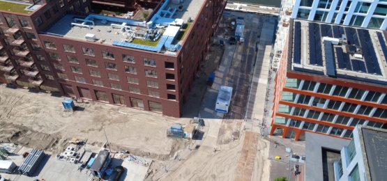 Thumbnail van Noordbaak