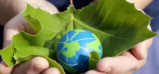 Afbeelding bij Energieneutraal produceren